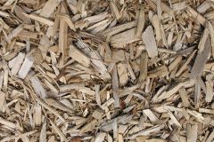 biomass boilers Tretio